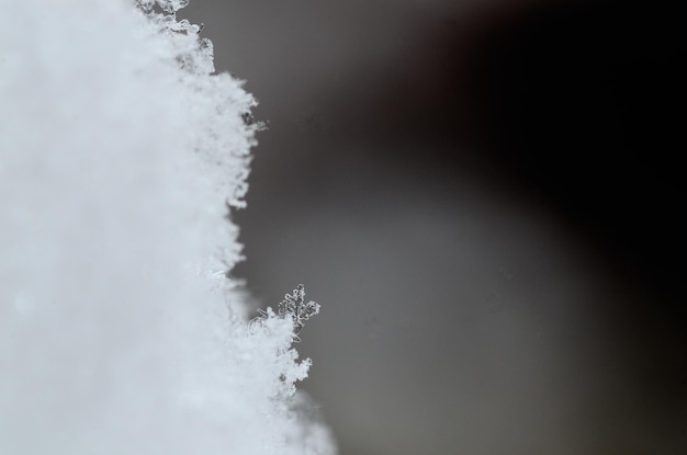 Nero come la neve con il grigio