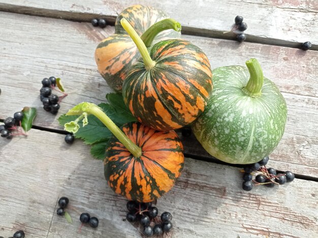 nero, maturo, succoso, bello, delizioso, frutti di bosco, zucche a strisce, sul tavolo, in una soleggiata