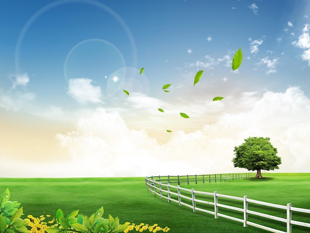 nessun essere umano all'aperto paesaggio cielo nuvola fiore albero giorno foglia cielo blu girasole campo erba
