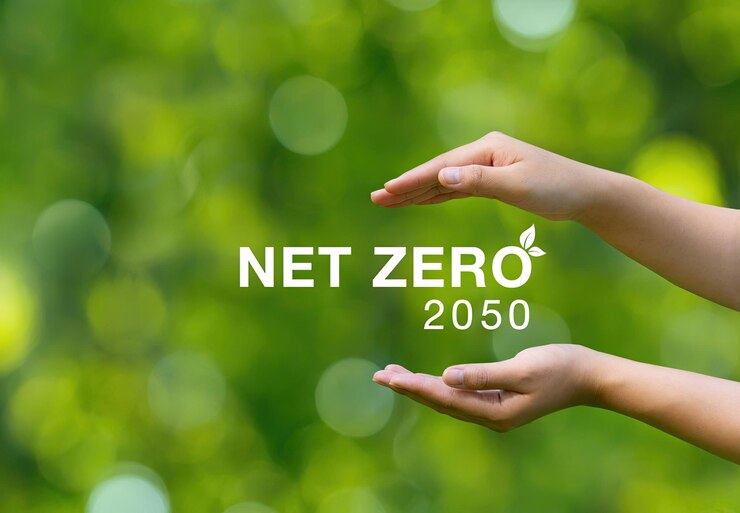 Net zero e concetto di carbon neutral