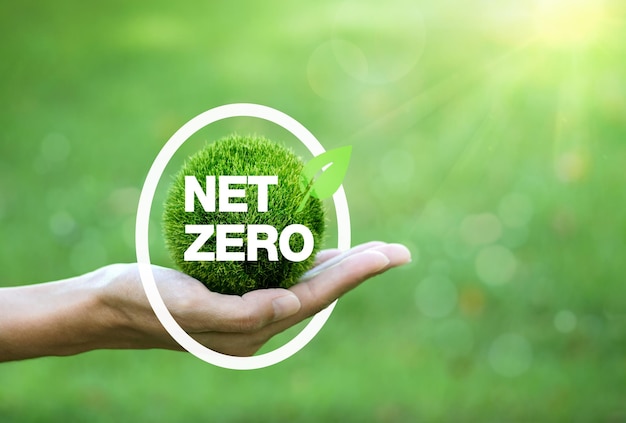 Net-Zero Emission - Concetto di neutralità del carbonio. terra verde a portata di mano sfondo naturale con brillantezza