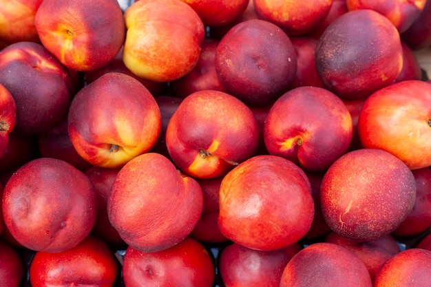 Nettarine organiche rosse e gialle luminose nel cibo sano del mercato