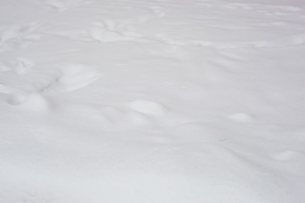 Neve bianca d'inverno in campagna