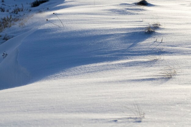 Neve caduta durante una nevicata ed erba secca