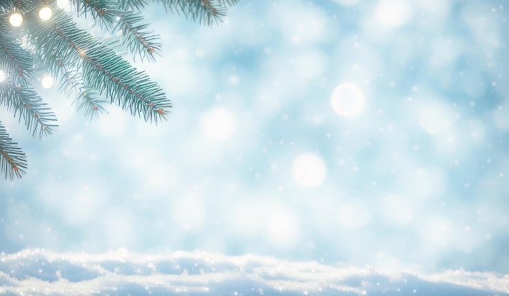 Foto neve che cade su un ramo d'albero