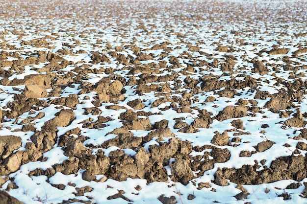 Neve che si scioglie su terreno arato. Vista primaverile del campo arato.