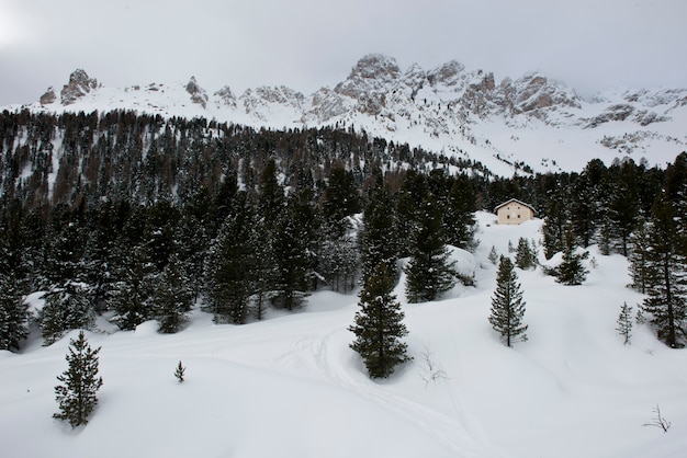 Neve, cime e nuvole