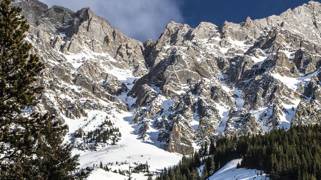 Neve di montagna