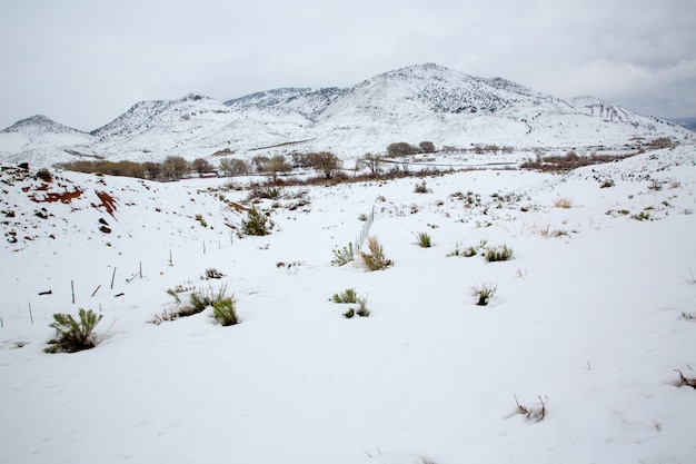 Neve di primavera del Nevada USA nelle montagne