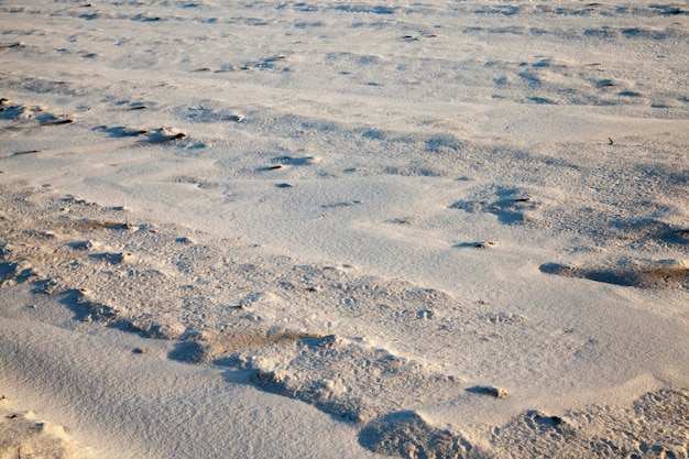 Neve dopo nevicata nella stagione invernale stagione invernale in natura