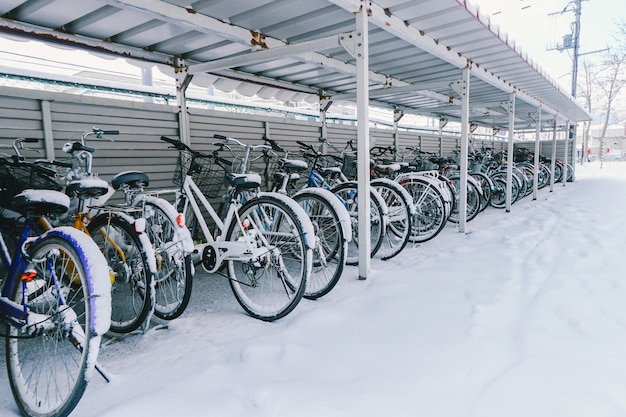 Neve in bicicletta