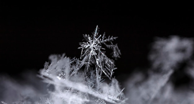 Neve in inverno primo piano Immagine a macroistruzione di fiocchi di neve sullo sfondo delle vacanze invernali