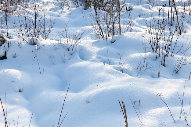 neve in inverno