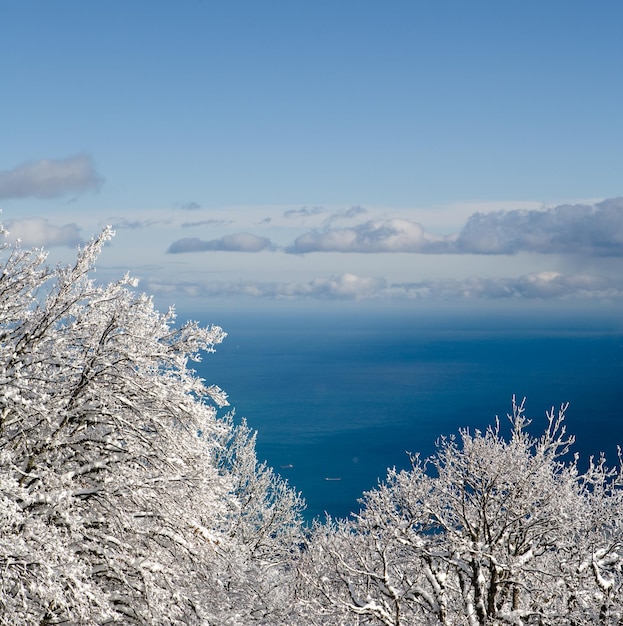 Neve in montagna