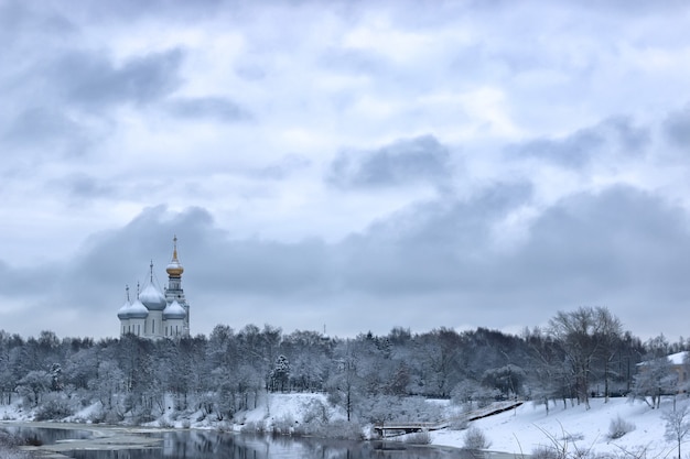 Neve invernale sulla cupola della città dell'albero