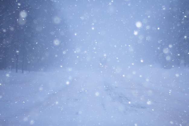 neve nebbia paesaggio nevicata/paesaggio invernale freddo clima stagionale, natura in forma invernale, nebbiosa all'esterno