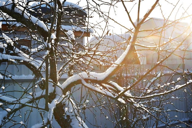 Neve paesaggio soleggiato inverno tempo