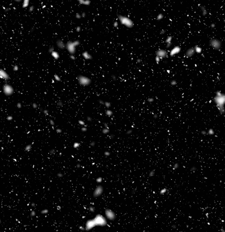 Foto neve png del regista allain 250791209227 ig dir__allain phg