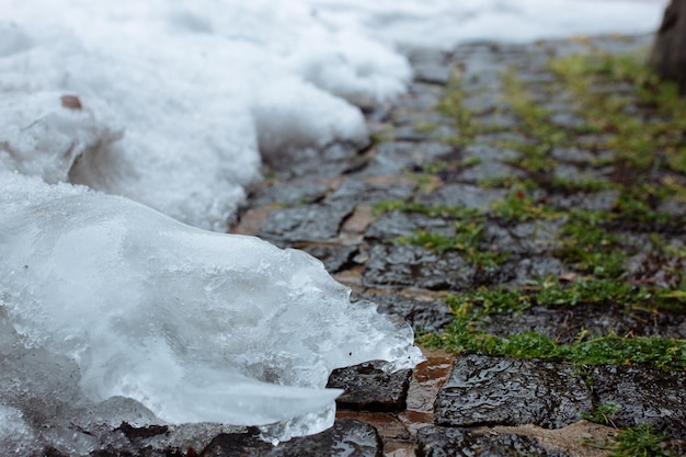 Neve sciolta su pietre per lastricati ricoperte di muschio