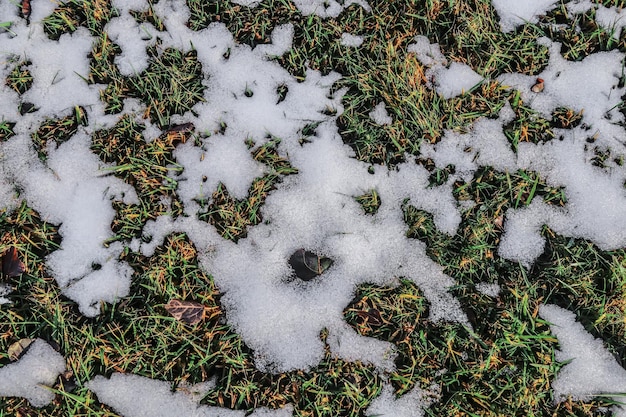 Neve sporca fusa in natura sull'erba verde