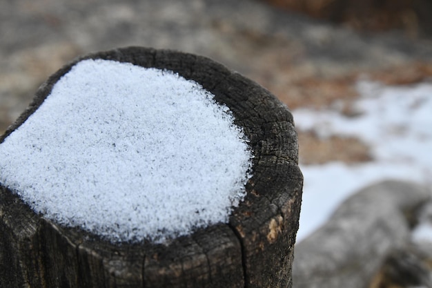 Neve su un palo