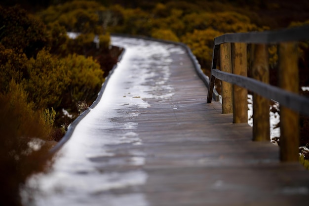 Neve su una passerella in un parco nazionale in australia in inverno
