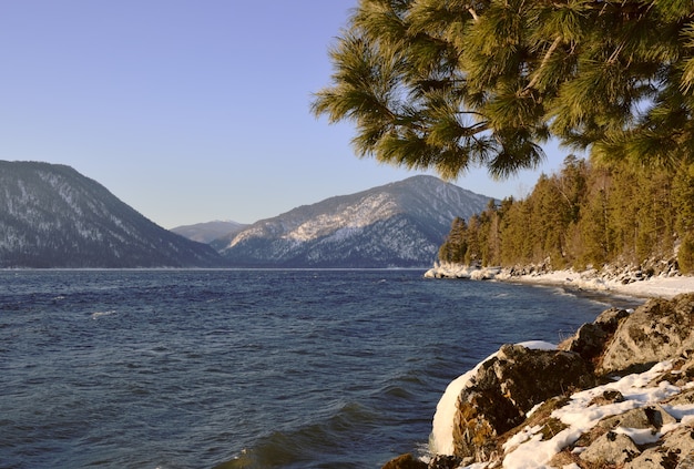 neve sulle rocce sulla riva del lago teletskoye che non gela in inverno