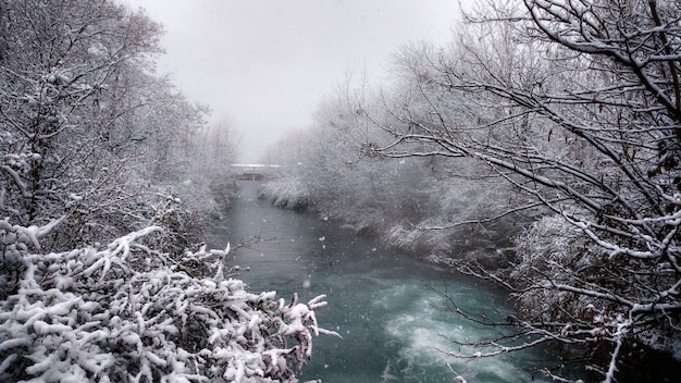 nevicata su un fiume di montagna nella foresta