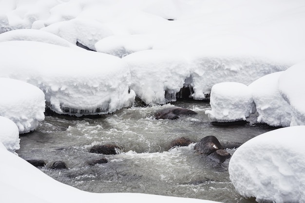 Nevicata sul fiume di montagna. Bellissimo paesaggio invernale.