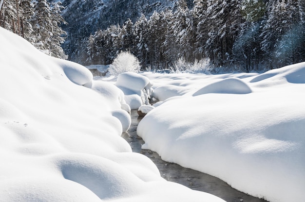 Nevicata sul fiume di montagna. Bellissimo paesaggio invernale