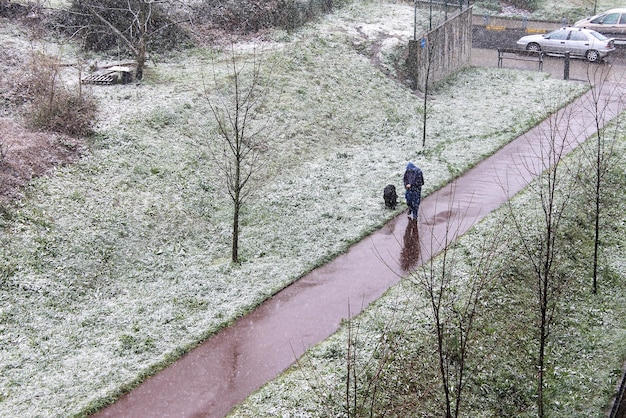 Nevicate in città che portano a spasso il cane