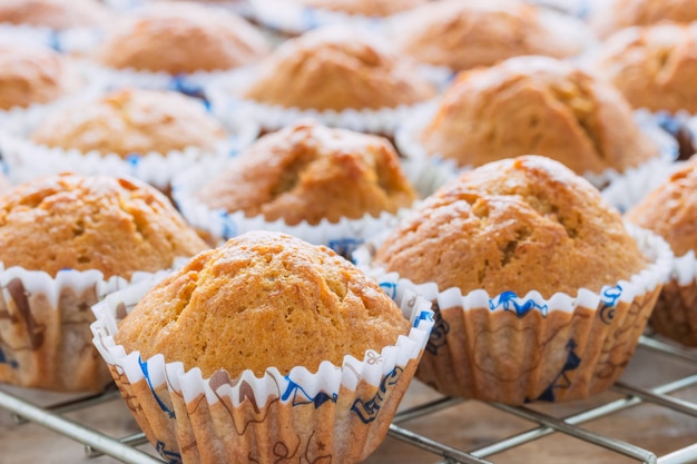 New banana cupcake dal forno.