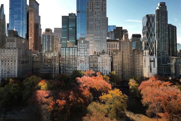 New York autunno autunno New York Central Park vista dal drone aereo di New York City