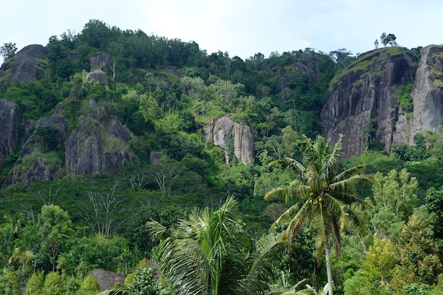 Nglanggeran antica formazione rocciosa vulcanica. un vulcano inattivo. roccia ignea. albero di cocco. tropico