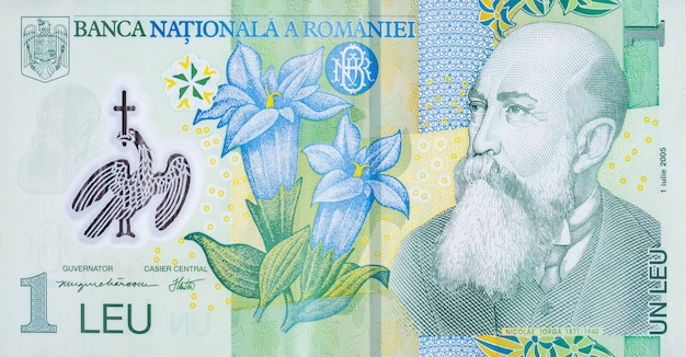 Nicolae Iorga ritratto su denaro rumeno 1 Leu 2005 Banconota dalla banca Romania