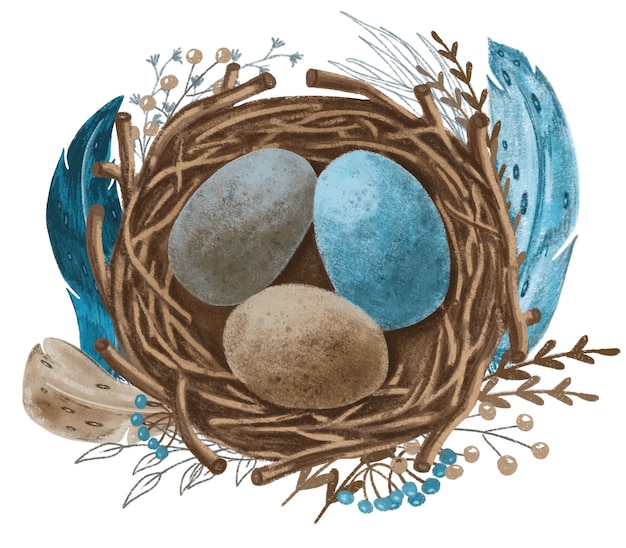 Nido con uova blu, marroni, grigie e piume turchesi, illustrazione disegnata a mano