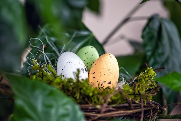Nido di uccelli con uova di Pasqua colorate su rami di alberi verdi decorazione pasquale fuoco selettivo
