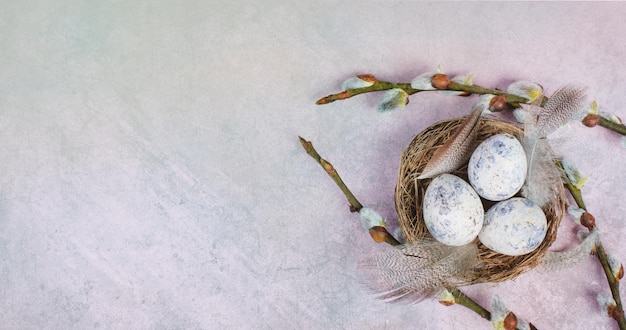 Nido di uova di Pasqua, rami di salice, biglietto di auguri per le vacanze, stagione primaverile, colore pastello