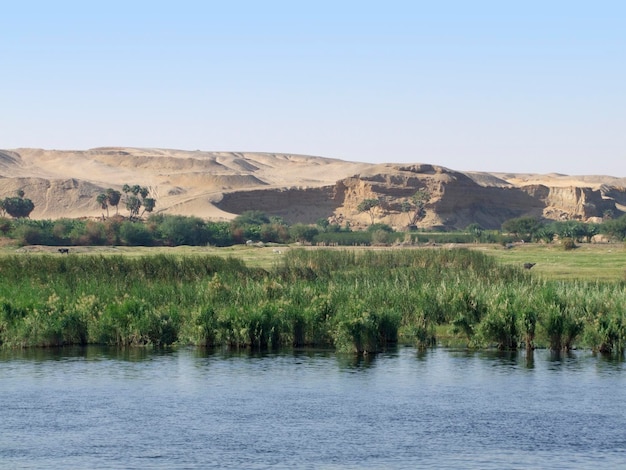 Nilo tra Edfu e Kom Ombo