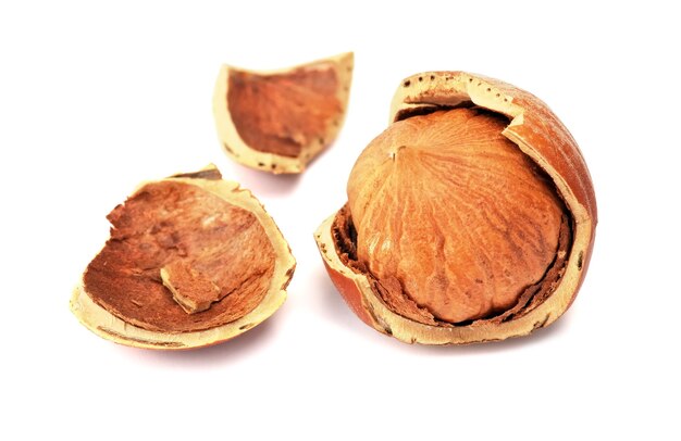 Nocciola o nocciola isolato su sfondo bianco. Avvicinamento