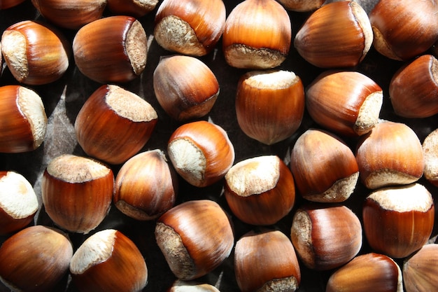 Nocciola sul fondo della tavola di legno