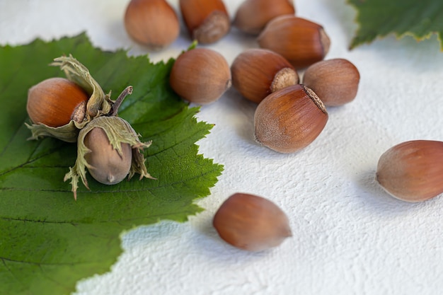 Nocciole su uno sfondo chiaro con foglie verdi. Contiene vitamine e minerali benefici.