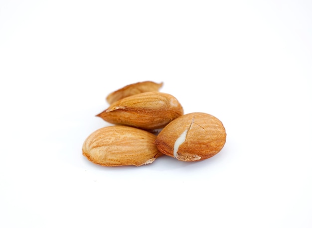 nocciolo di albicocca isolato su sfondo bianco