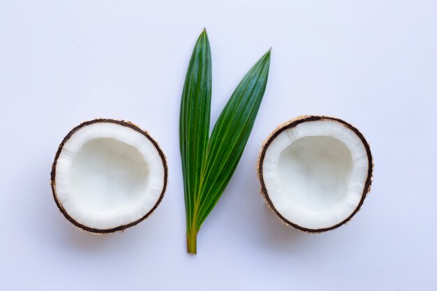 Noce di cocco con foglia su sfondo bianco.