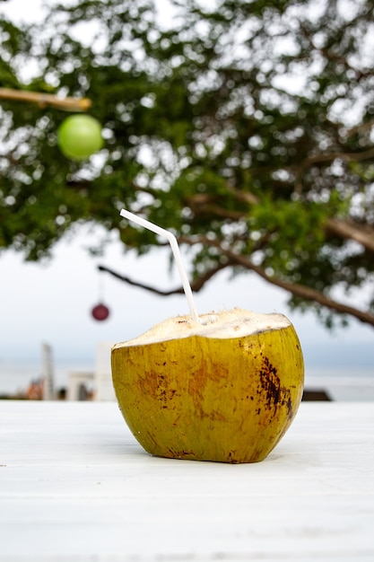 Noce Di Cocco Fresca Pronta Da Bere.