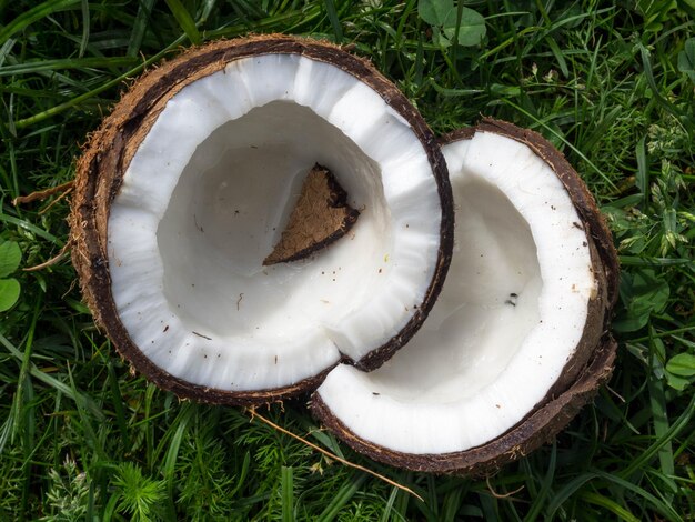 Noce di cocco mezza rotta sull'erba e sul simbolo del cuore