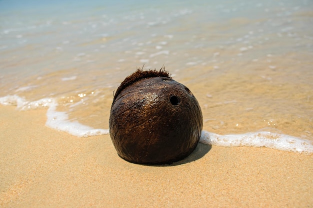 Noce di cocco sulla spiaggia