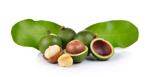 noce di macadamia fresca isolata