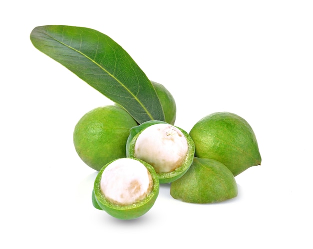 Noce di macadamia isolata su fondo bianco