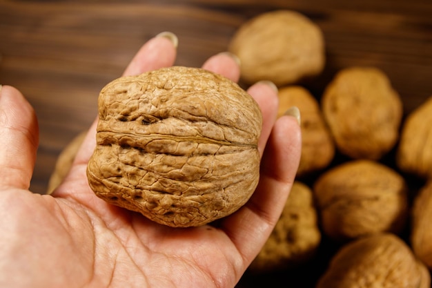 Noce gigante in mano femminile